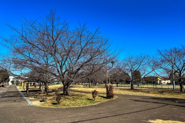 城北中央公園画像
