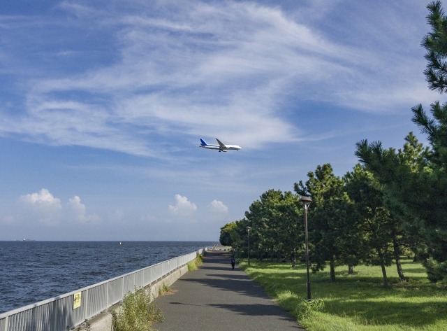城南島海浜公園画像